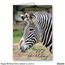 Happy Birthday Zebra Animal Card Zazzle Com In 2021 Animals Zebras Animal Zorse