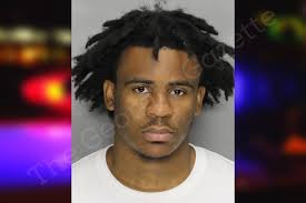 Tyler Rainey — Cobb County Jail Bookings