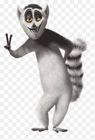 Mort is a character that appears in the madagascar films, the penguins of madagascar and the tv series the penguins of madagascar and all hail king julien. Gray Raccoon Illustration Julien Mort Lemur Madagascar Madagascar Penguins Mammal Heroes Png Pngegg