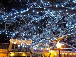 Leavenworth Wa Is Lit Up From December Through February Leavenworth Tourist Destinations Winter Wonder