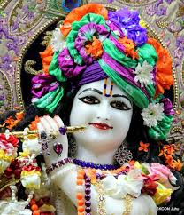 Ami Panchal (panchalamee2015)