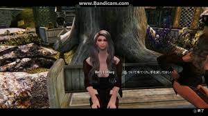 Vex And Astrid Marry And Follower As Well As Other Npcs At Skyrim Nexus -  Mods And Community