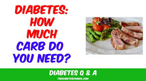 Reference to commercial products or trade names does not imply endorsement by msu extension or. How Many Grams Of Carbohydrates Per Day For Diabetics