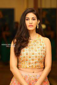 She started her career at the age of 16 as a model in a few commercials including clean and clear, dove, vodafone and micromax. Amyra Dastur Actress Photos Stills Gallery