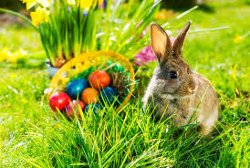 The story of the easter bunny is thought to have become common in the 19th century. 10 Things You May Not Know About The Easter Bunny Mental Floss