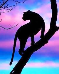 Tiger Silhouette New Paint By Number Numeral Paint Tiger, wild, animal, safari, wildness, wilderness, jungle, silhouette, flat, zoo, zoo animal, beast. tiger silhouette new paint by number