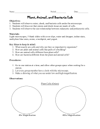 Touch a blotting paper on one side of the slide to drain. Short Plant Animal And Bacteria Lab Wahs