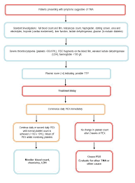 Image result for Plasmic Score