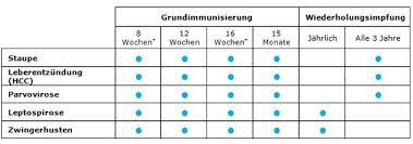Wenn sie einen welpen zu sich holen, stellen sie sich vermutlich die frage, ab wann, wogegen und wie oft sie das tier impfen sollten. Impfungen Kleintierpraxis Susi Strolch Susi Strolch
