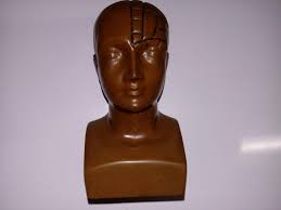 Image result for Halazepam