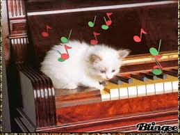 Und so mag ich dich auch. Bin Ich Etwa Nicht Eine Gute Pianistin Tierbilder Weihnachtsszenen Katzen