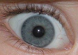 Eye Color Wikipedia