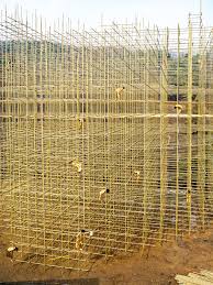 Bildergebnis für Lim Soosik