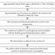 the typical method of preparation of the kombucha beverages