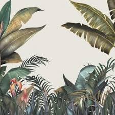 Pin Auf Tropicalroom