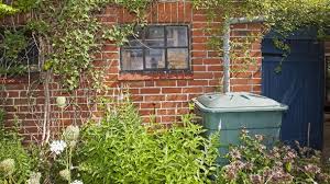 Auch regentonne und teich im garten sollten wegen der larven am besten mit. Mucken So Bekampfen Sie Stechmucken In Haus Und Garten