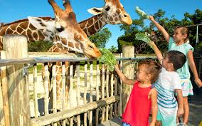 3900 wildlife way, cleveland oh 44109. New Times Brew At The Zoo Date Coming Soon