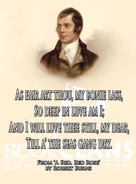 Red Red Rose By Robert Burns Scotland S National Poet Scottish Poems Scottish Quotes Robert Burns