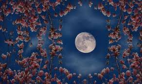 What comes in the list of moon phases 2021 is full moon, also known as the purnima. Xqi 6pmm87ofm