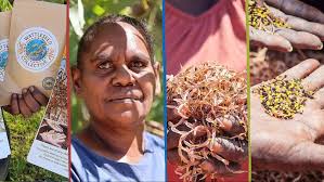 Help us grow the wattleseed harvest in 2024