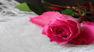 Maybe you would like to learn more about one of these? Kumpulan Puisi Berantai Balas Balasan Puisi Bertema Rindu