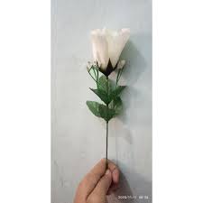 Warna pada gambar dan lambang meliputi : Mawar Putih Setangkai Shopee Indonesia