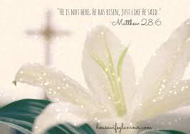 Easter sunday is one of the most significant festivals in the christian calendar, it is the day on which jesus christ was resurrected after he was crucified upon the cross on. Easter Scripture Quotes Quotesgram
