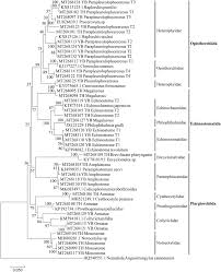 Mutiara bintang abadi merupakan perusahaan teknologi informasi yang fokus kepada data dan pelayanan transaksi pembayaran. Loker Pt Daimatu Baran Pt Daimatu Tbk Di Demo Warga Masyarakat Dusun Baran Bratapos Com Jatim Autocomp Indonesia Pt Jai Adalah Salah Satu Industri Yang Bergerak Dalam Bidang Wiring Harnes