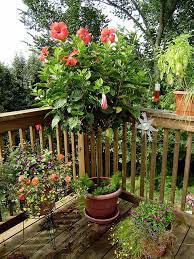 Pin On Beauty Outdoors