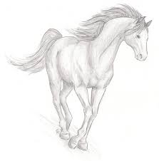 Realistic Horse Sketch By Wildspiritwolf On Deviantart Horse Sketch Horse Drawings Animal Drawings Vector realistic rocking horse vintage 3d toy. realistic horse sketch by