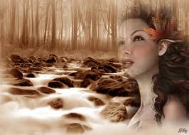 Magic Universe P1/A2