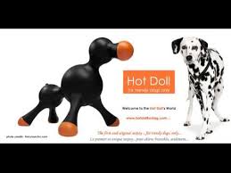 How to stop dog humping so what do you do to stop dog humping? How To Stop A Dog From Humping Your Leg Hault The Hump