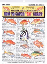 amazon com fishermans saltwater fish chart 6 by