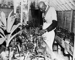 Carver developed hundreds of products using the peanut, sweet potatoes and soybeans. 7 Facts On George Washington Carver Biography