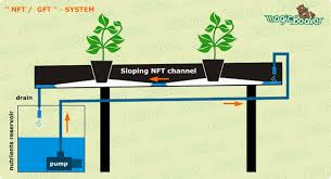 But if it's simplicity, low cost, and maximum yields you are after. Datei Systeme Nft System 573px Jpg Wikipedia