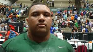 The 2016 All-Area boys weightlifting team