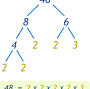 Fact-Tree from www.mathsisfun.com