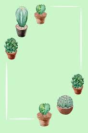 Dihalaman ini anda akan melihat wallpaper iphone kaktus yang keren! 14 Cactus Background On Wallpapersafari