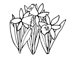 Large collections of hd transparent white flower png images for free download. Mormon Share Daffodils Clipart Black And White Coloring Pages Clip Art