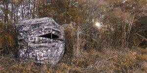 Maybe you would like to learn more about one of these? Barronett Big Cat 350 Ground Blind Review 2021