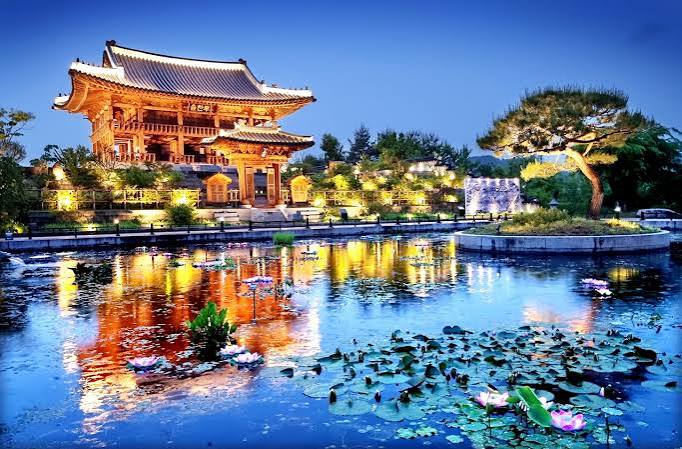 국립세종수목원 사진 3