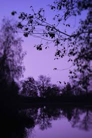 Variations of the color purple can be found in this collection among multiple aesthetic pictures. Natural Purple Aesthetic Wallpapers Top Free Natural Purple Aesthetic Backgrounds Wallpaperaccess
