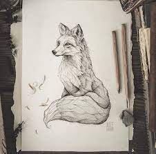 Pencil Drawing Illustration Art Retro Vintage Old Fox Red Fox Vulpes Animal Abstrac Pencil Drawings Of Animals Animal Drawings Drawing Illustrations