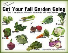 Our free planting guide calculates the best dates for sowing seeds indoors and outdoors, and for transplanting seedlings to the garden—all customized to your location. 46 Garden Checklist September Ideas Garden Checklist Garden Plants