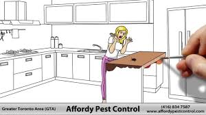 We are the most experienced and technologically advanced pest always ready to serve you, we are the most affordable government authorized pest control service provider. Affordable Pest Control Bedbug Exterminators Cockroach Pest Control Near Me Toronto