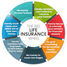 Check spelling or type a new query. How To Get Term Life Insurance With Multiple Sclerosis 2021 Quotes Quickquote