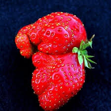 Faces In Things On Twitter Baby Elephant Elephant Funny Fruit