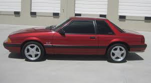 Image result for Wild Strawberry 1990 Tracer
