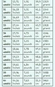 Growth Spurt Chart Weeks 30 40 Pregnancychart Baby Weight
