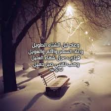 شعر عن الشتاء ليدي بيرد